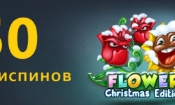 Бонус казино BuranCasino — 50 вращений в зимнем саду